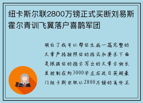 纽卡斯尔联2800万镑正式买断刘易斯霍尔青训飞翼落户喜鹊军团