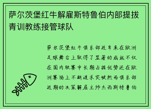 萨尔茨堡红牛解雇斯特鲁伯内部提拔青训教练接管球队